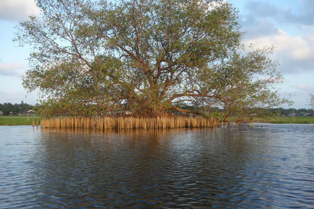 Ao Thai Resort Sathing Phra Bagian luar foto