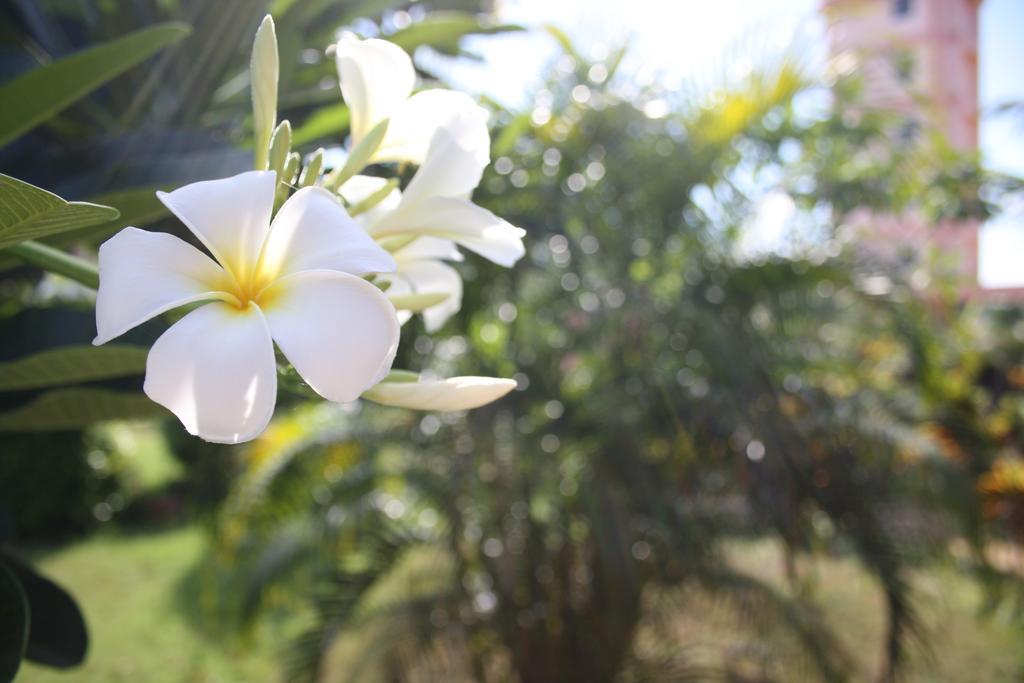 Ao Thai Resort Sathing Phra Bagian luar foto