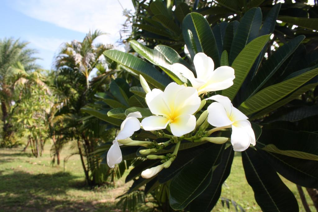 Ao Thai Resort Sathing Phra Bagian luar foto